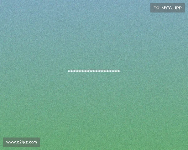 商务部回应安世半导体问题磋商进展强调维护企业合法权益与公平竞争环境